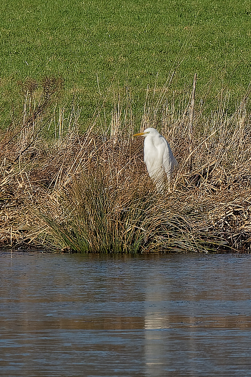 P1181133_DxOPHAAxlBKS.jpg
