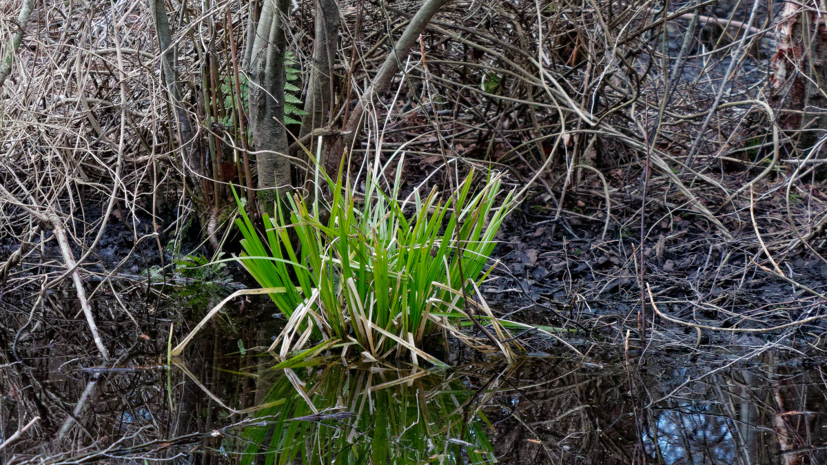P1181334_DxOPAxl.jpg
