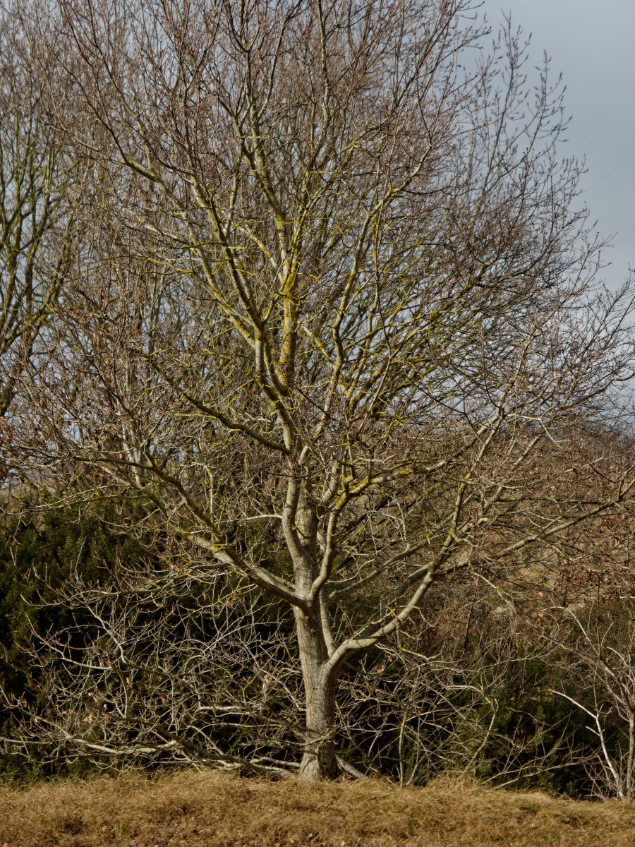 P1181340_DxOxl.jpg