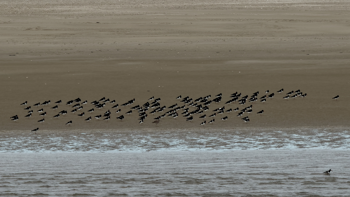 P1181349_DxOPAAxl.jpg