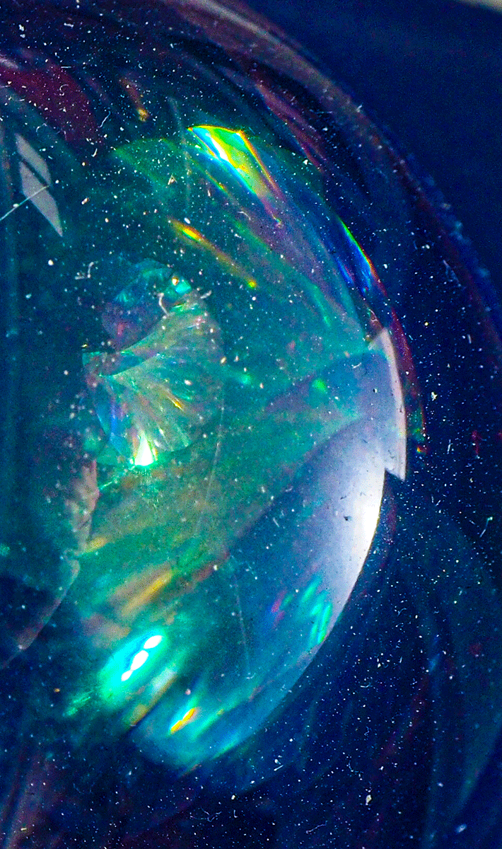 P1190013.gif