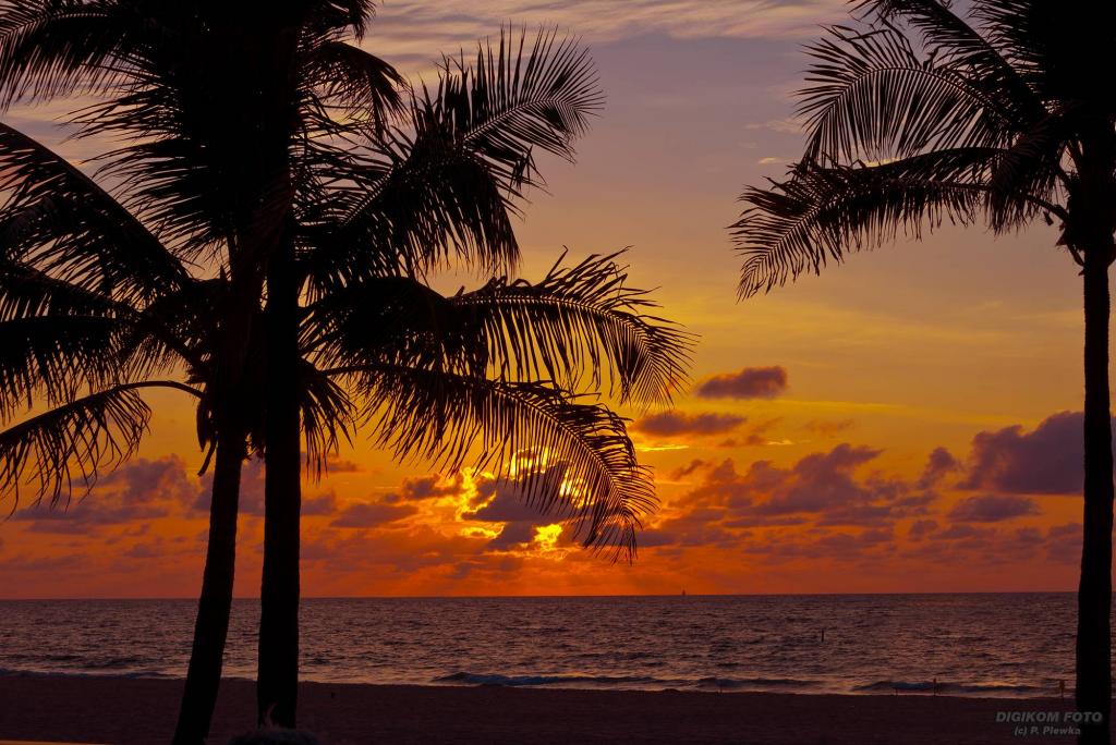 P12 1722
D800 - Nikkor 28-300 VR
USA - Florida - Ft. Lauderdale - Sonnenaufgang