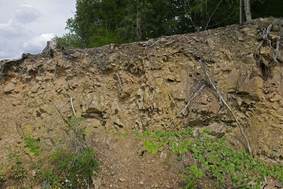 P1220441Kxl.jpg