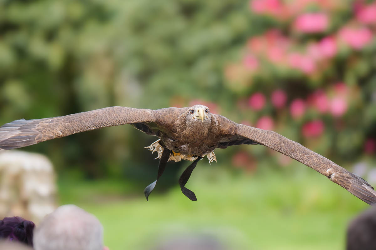 P1233263.jpg