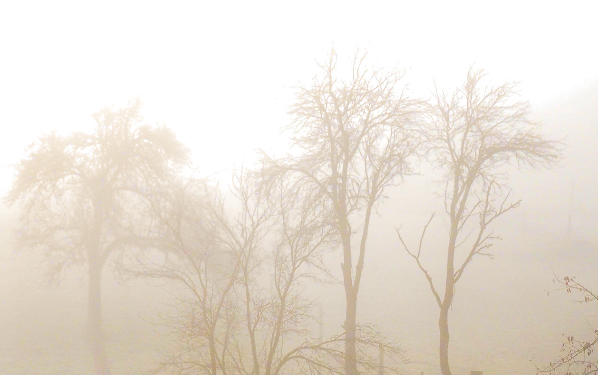 P1270001-Edit.jpg