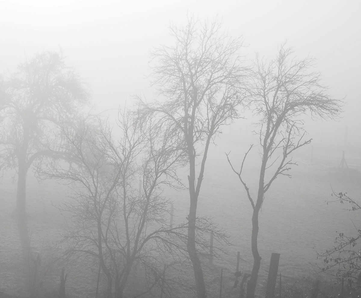 P1270006.gif