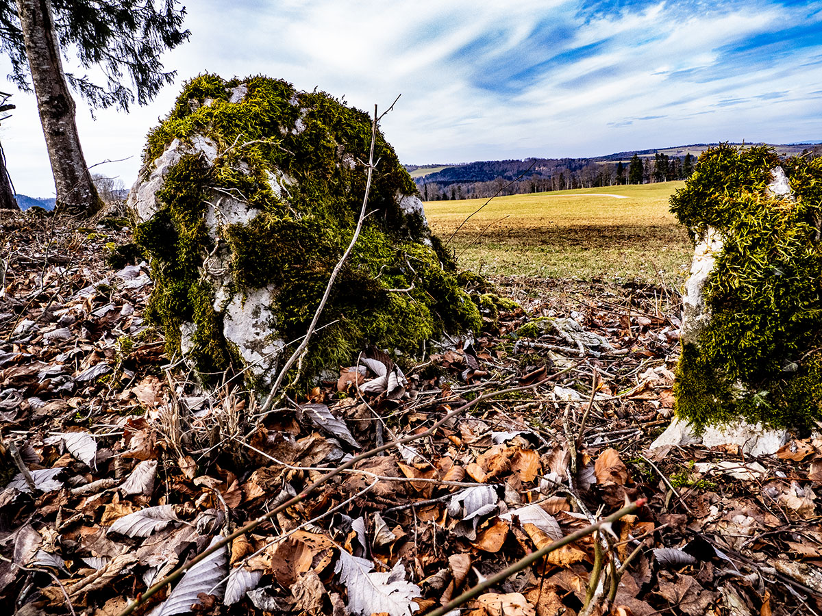 P2210005-2-Edit.jpg