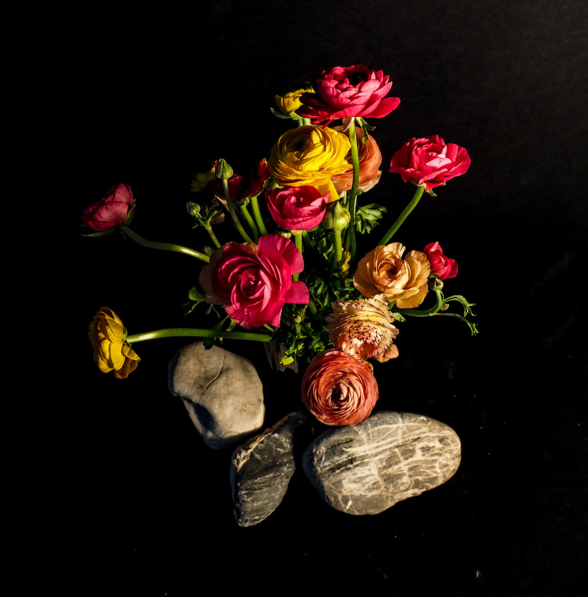 P3040073-Edit.jpg