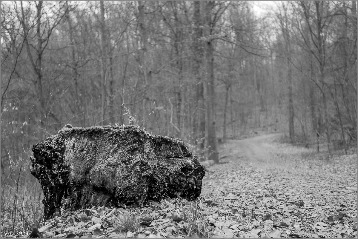 P3041957.jpg