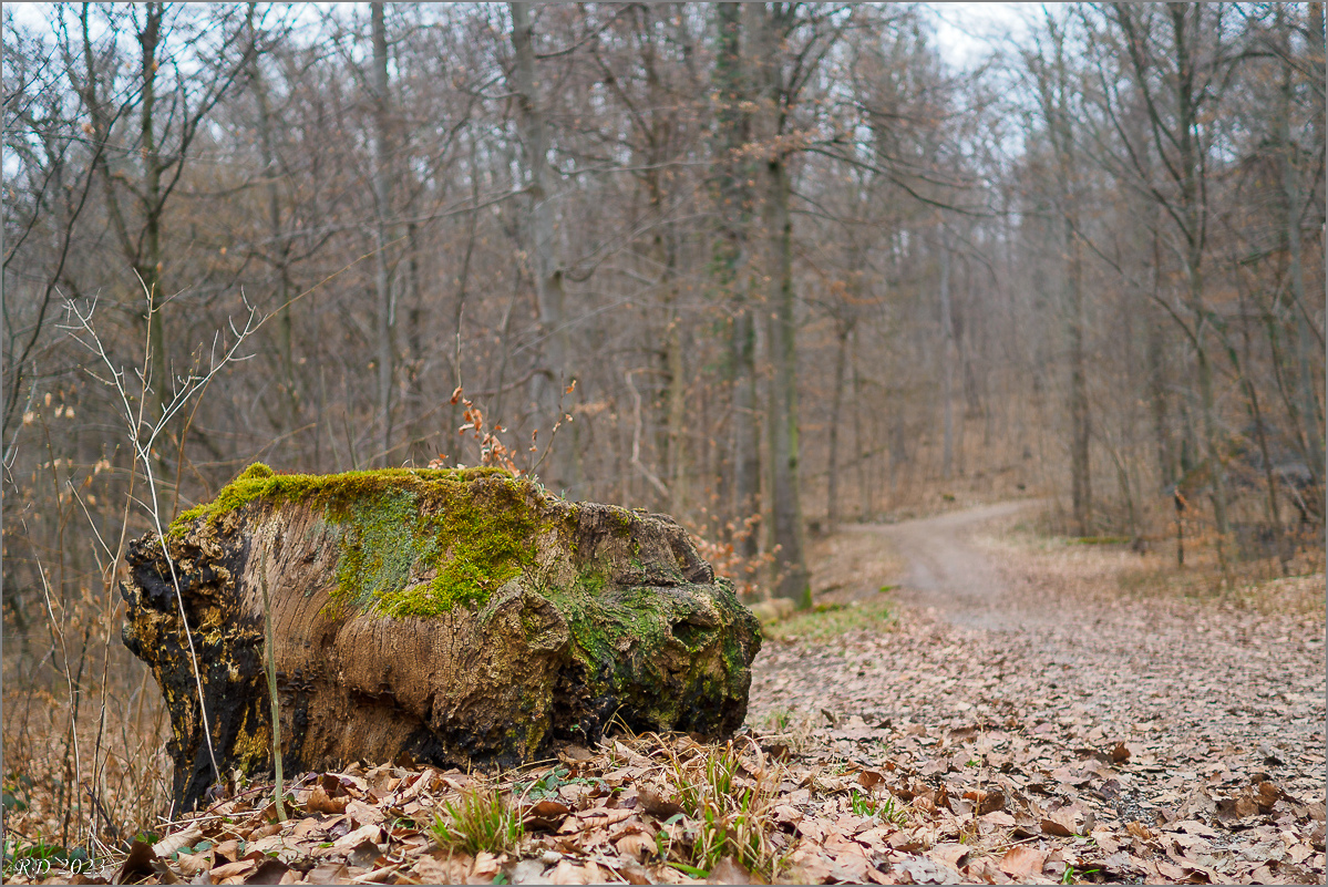 P3041958.jpg
