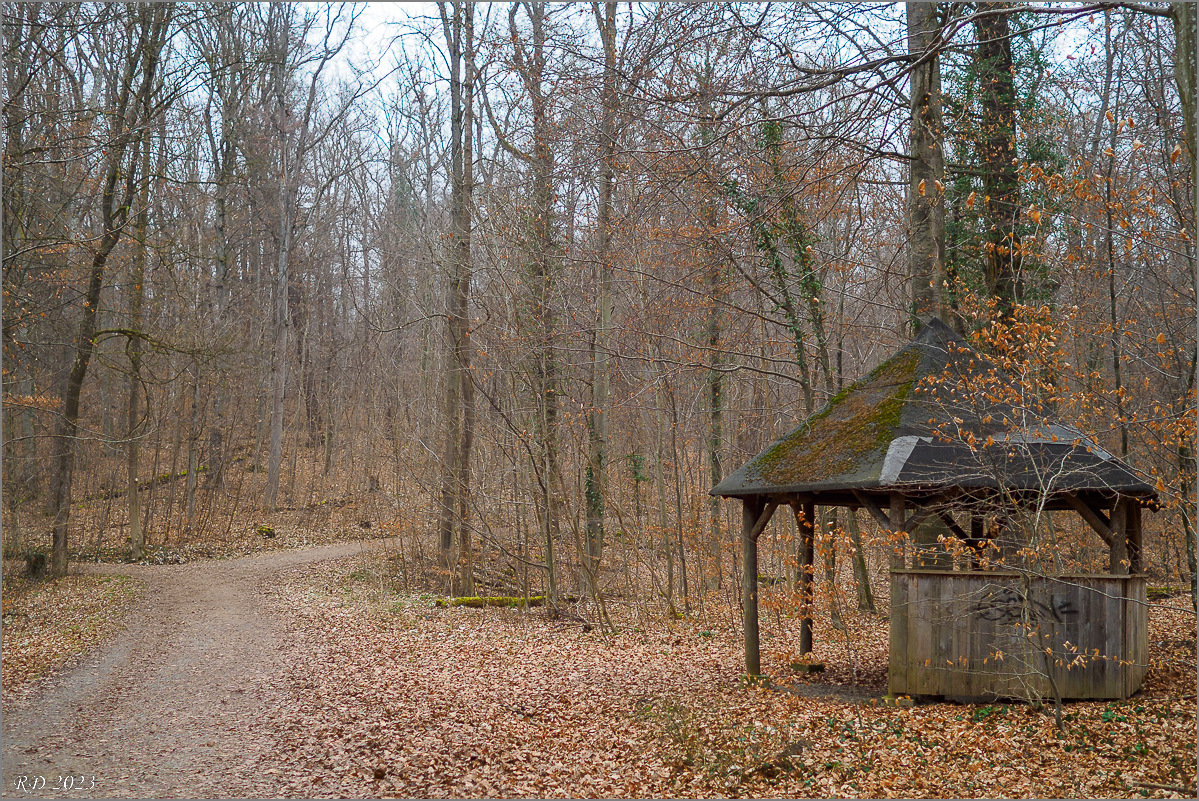 P3041959.jpg