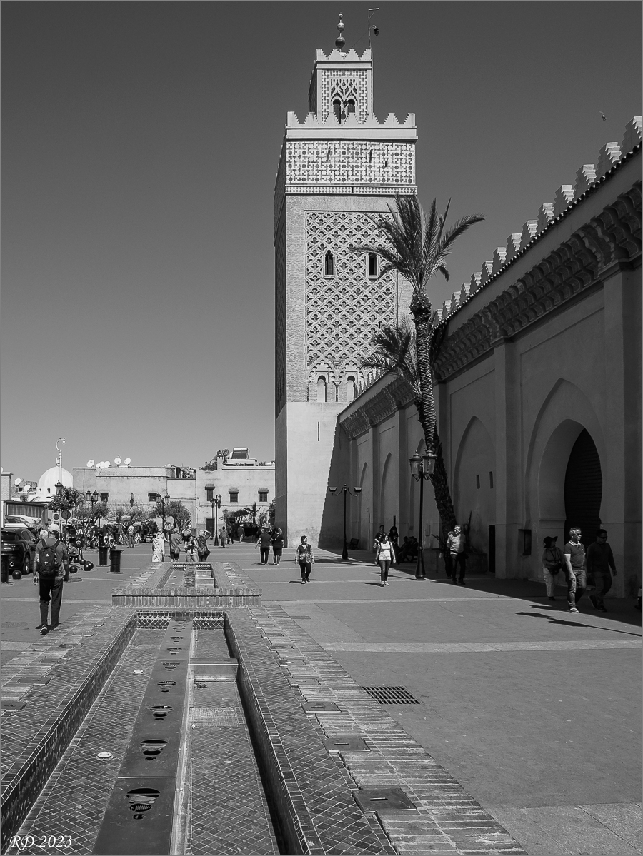 P3162059.jpg