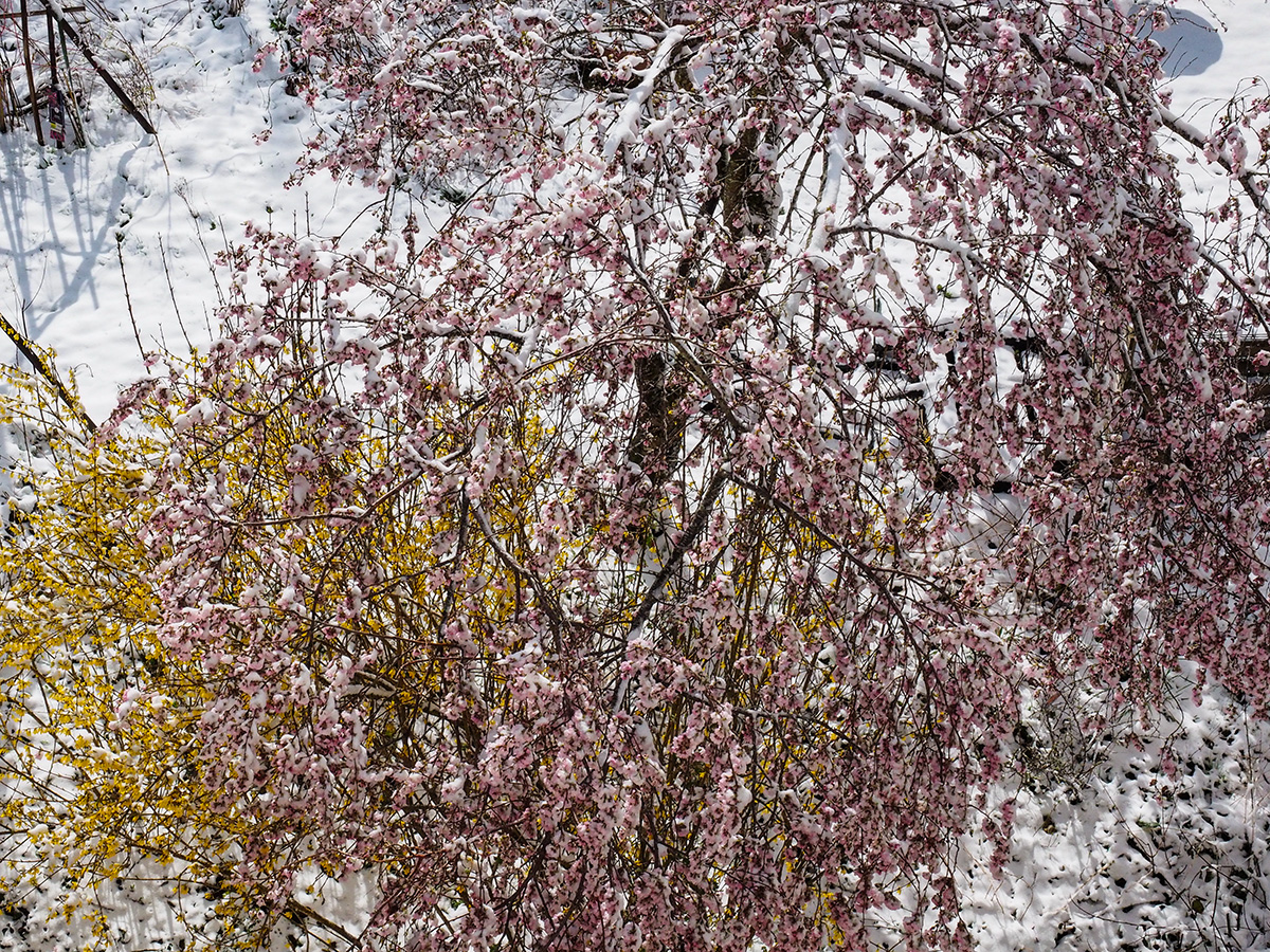 P3240036-Edit.jpg