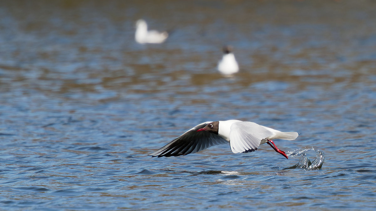 P3281801_DxO_DxO1200.jpg
