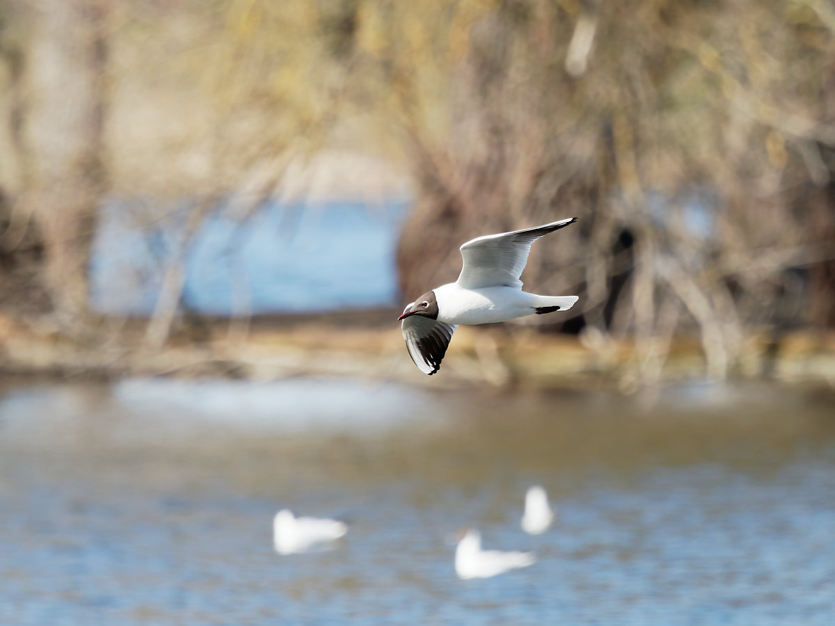 P3281945_DxO1200.jpg