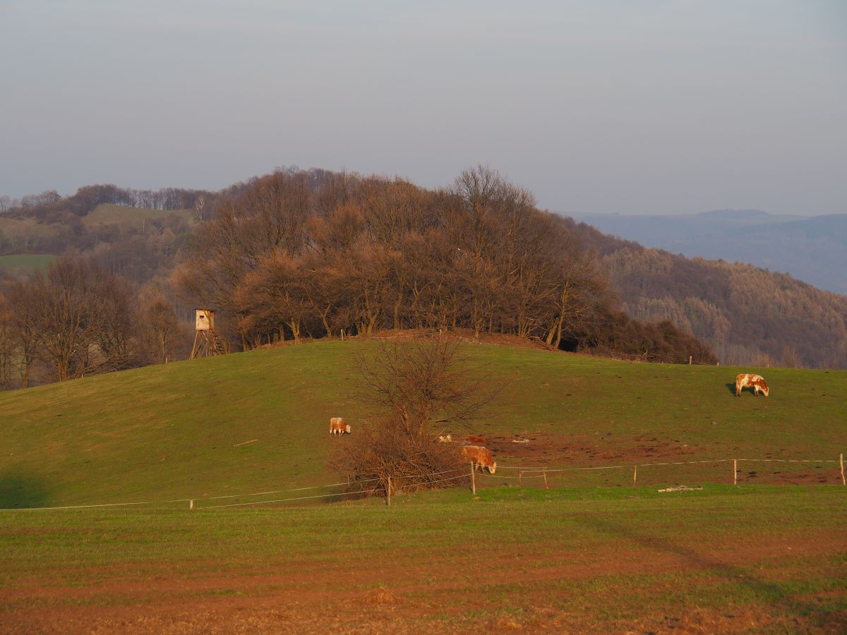P3300114n.JPG