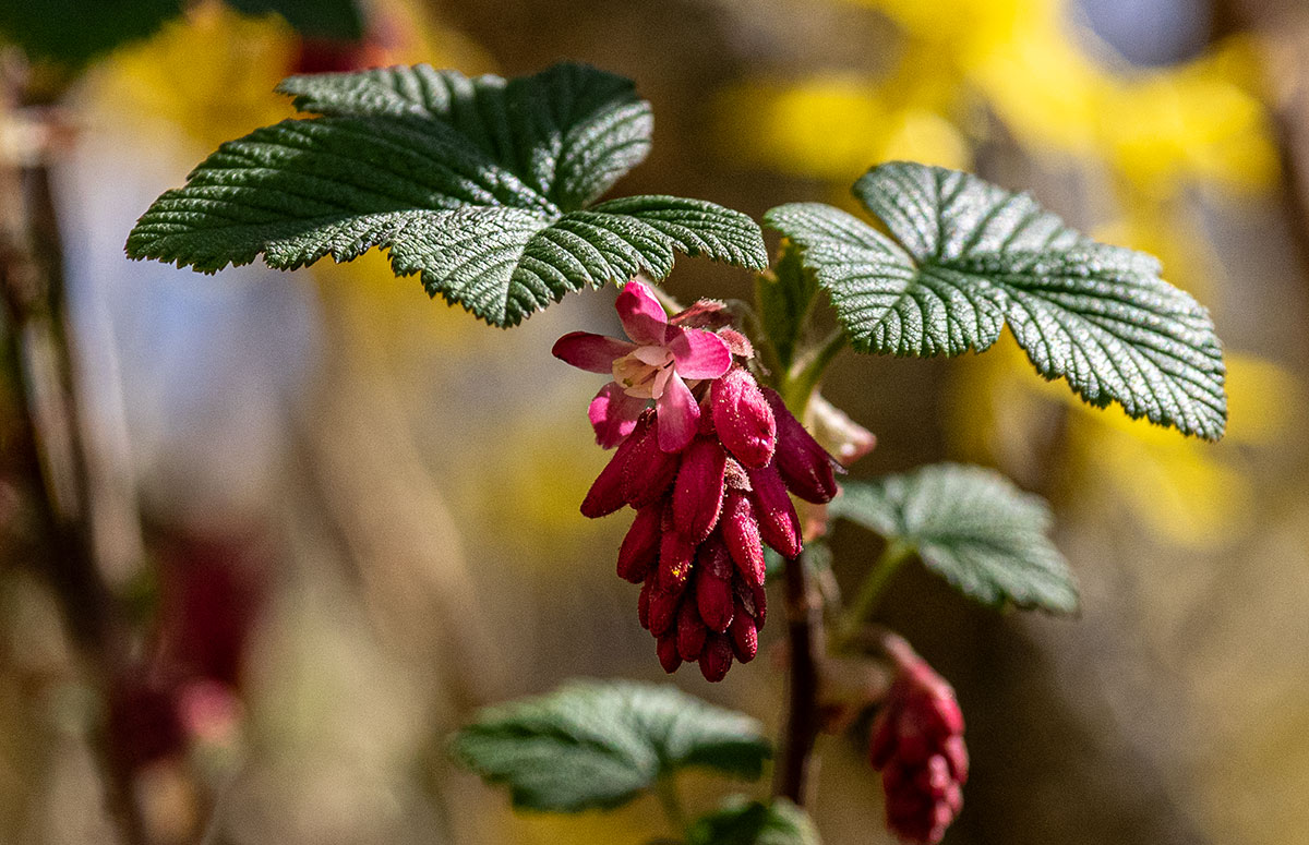 P4090014.jpg