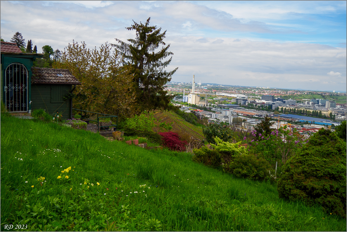 P4292953-2.jpg