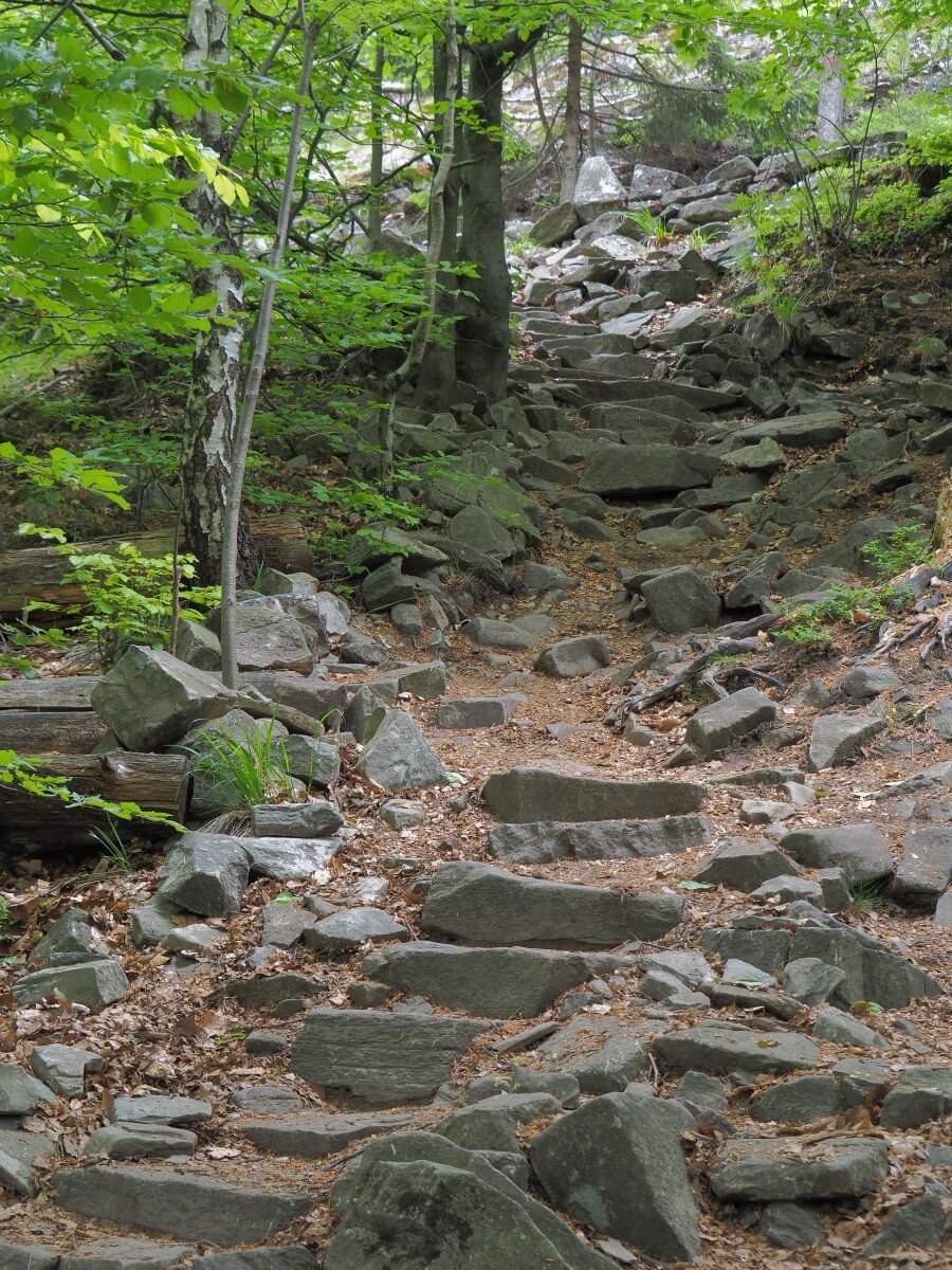 P5123167n.jpg