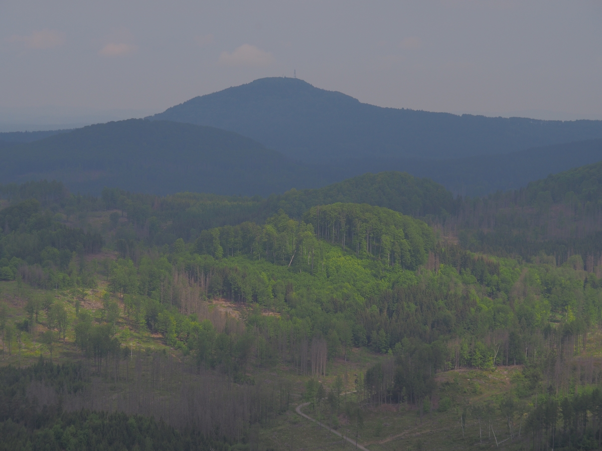 P5123198n.jpg