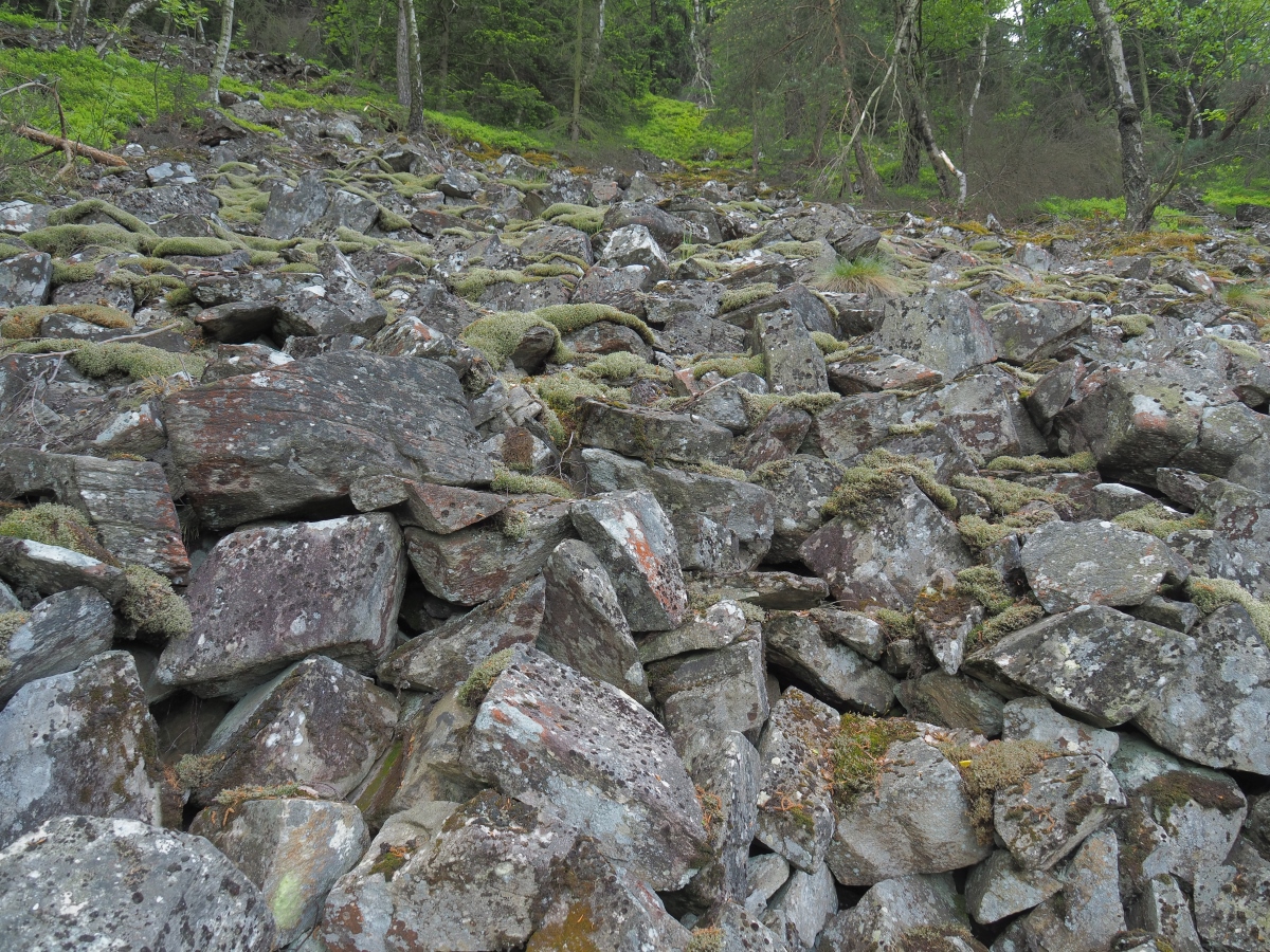 P5123216n.jpg