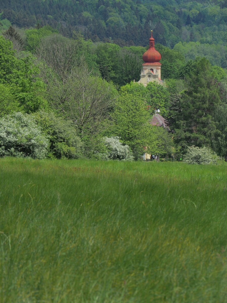 P5123275n.jpg