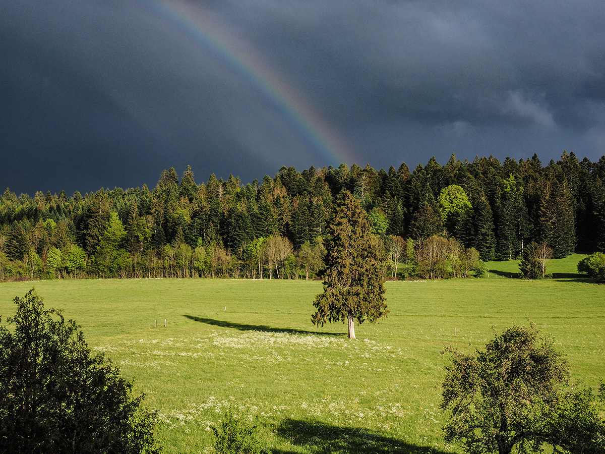 P5180002-Edit.jpg