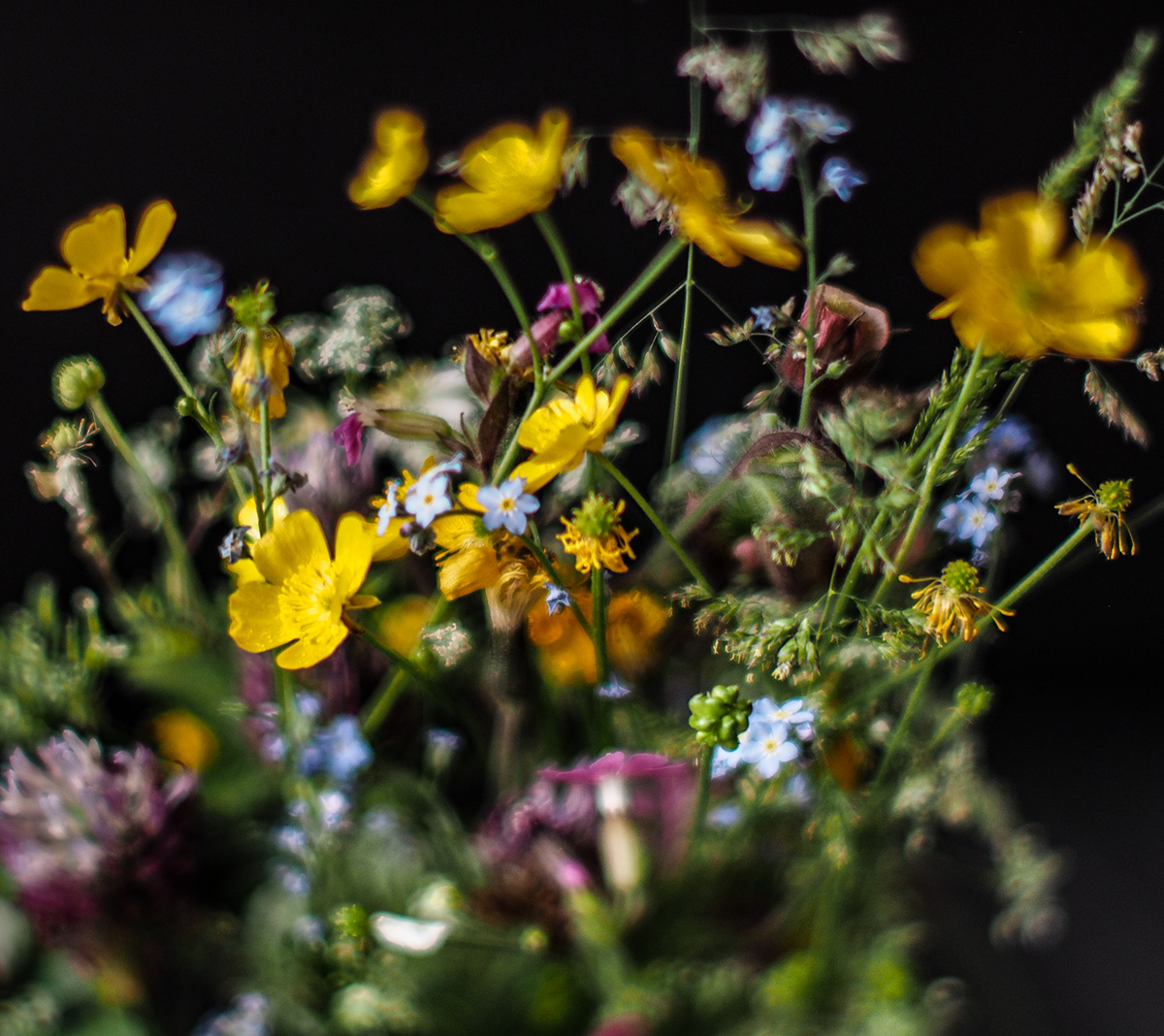 P6090015-Edit-2.jpg