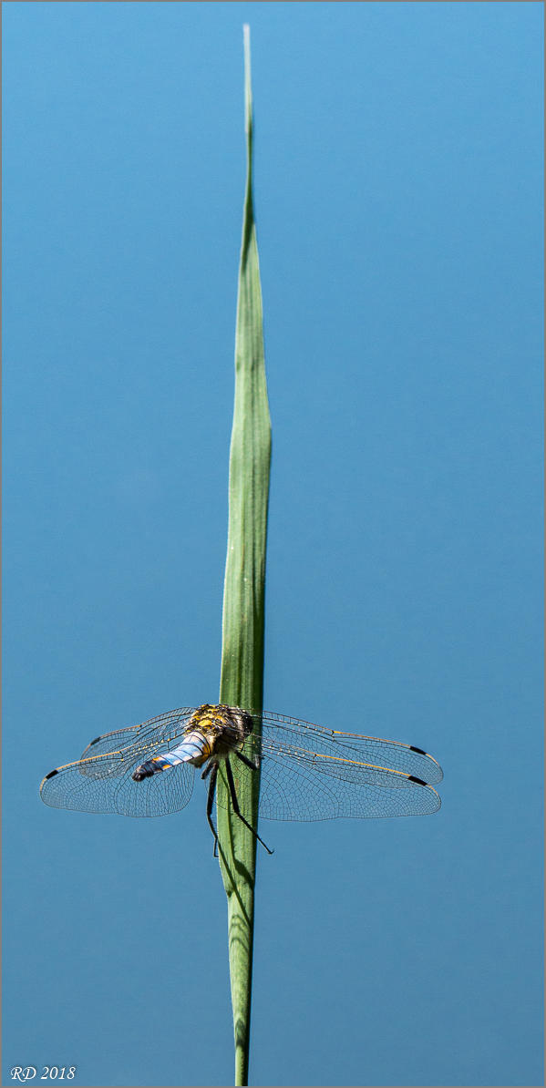 P7021517