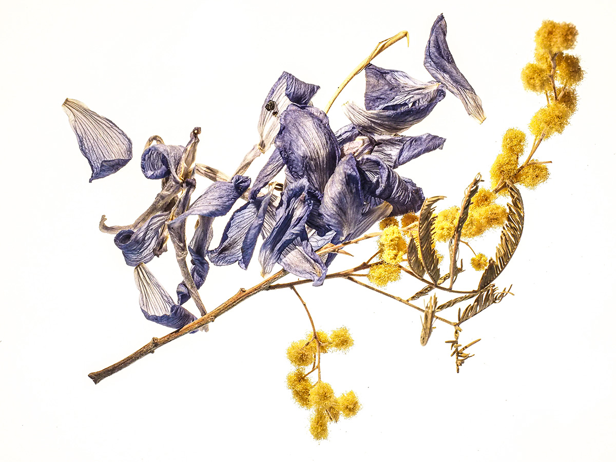 P7300128.jpg