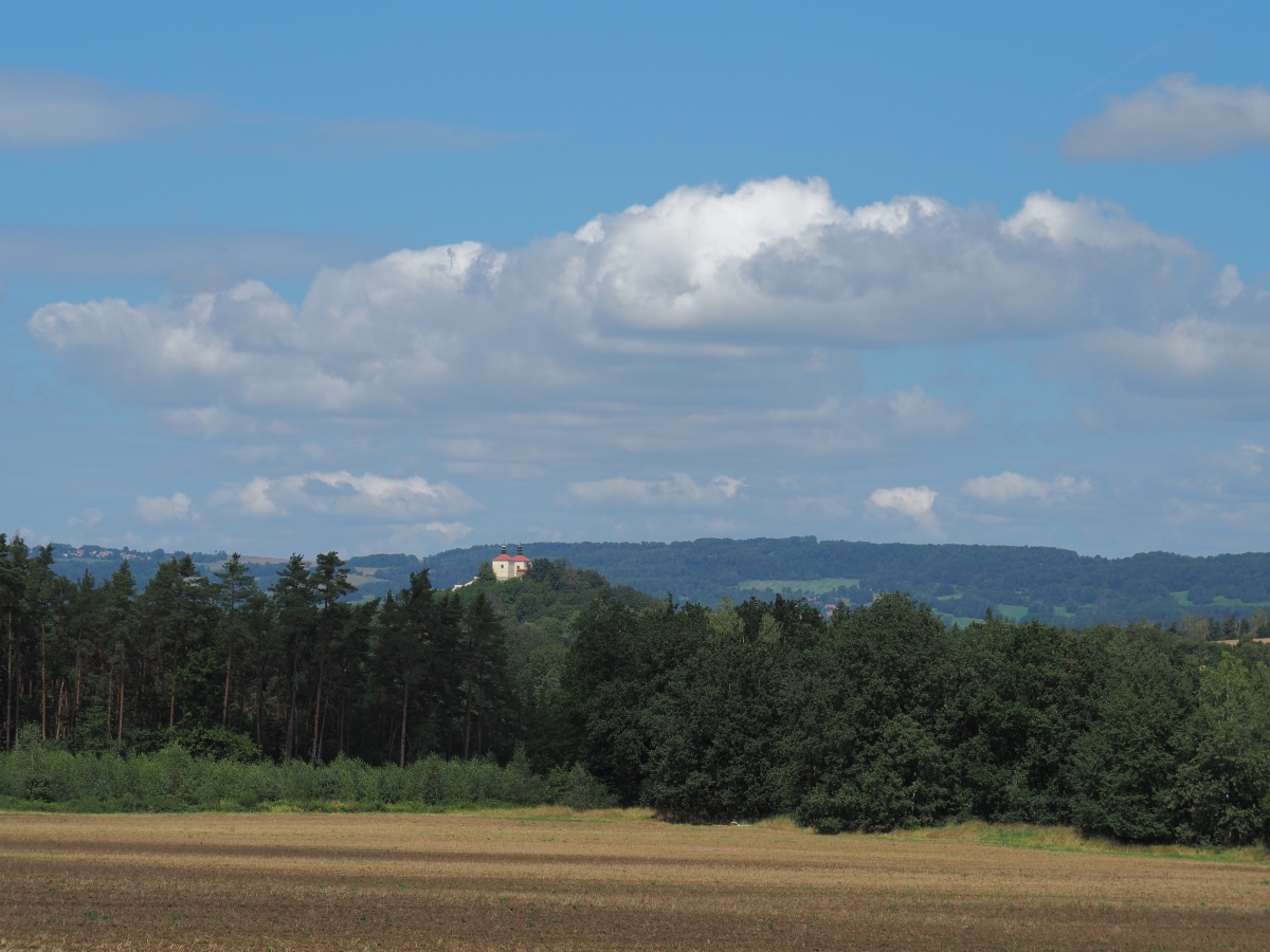 P8053321n.jpg
