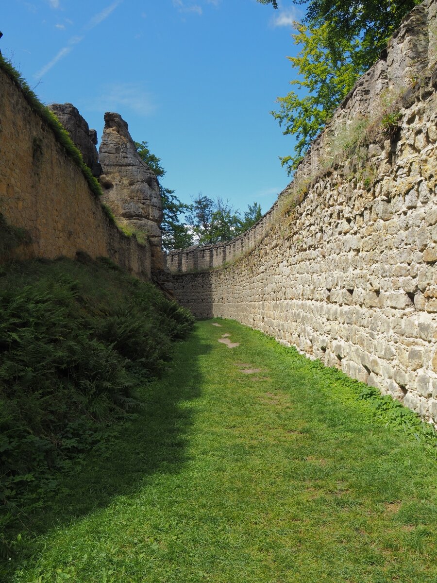 P8053335n.jpg