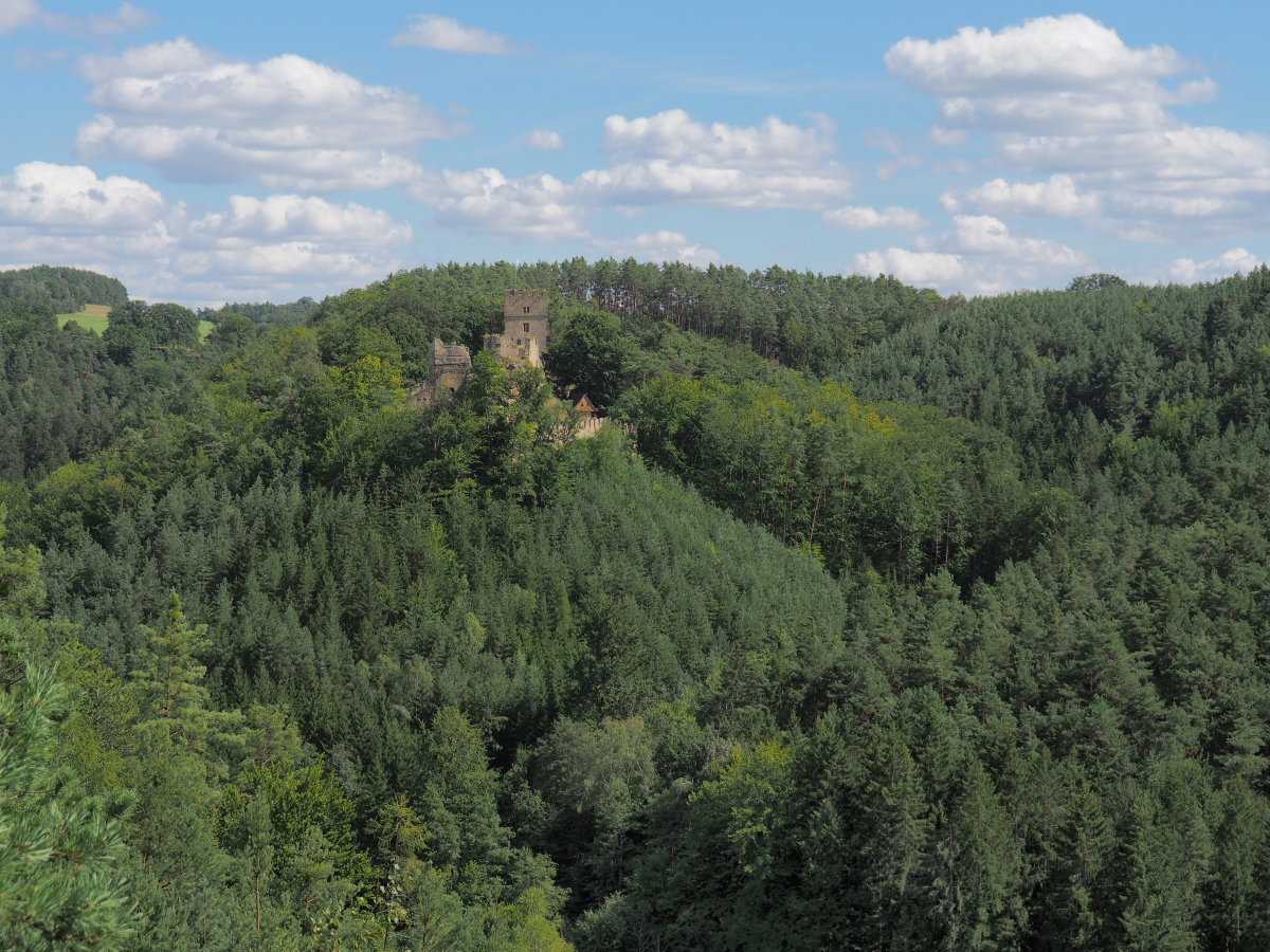 P8053401n.jpg