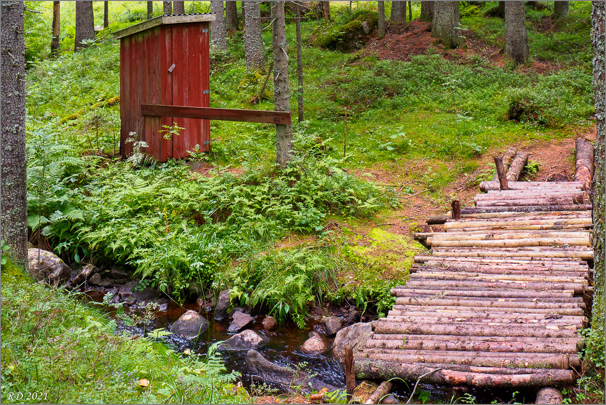 P8130157.jpg