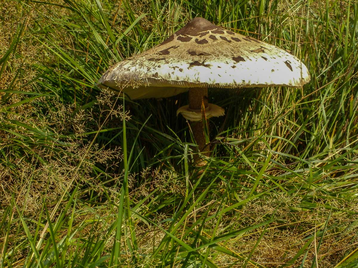 P8240013