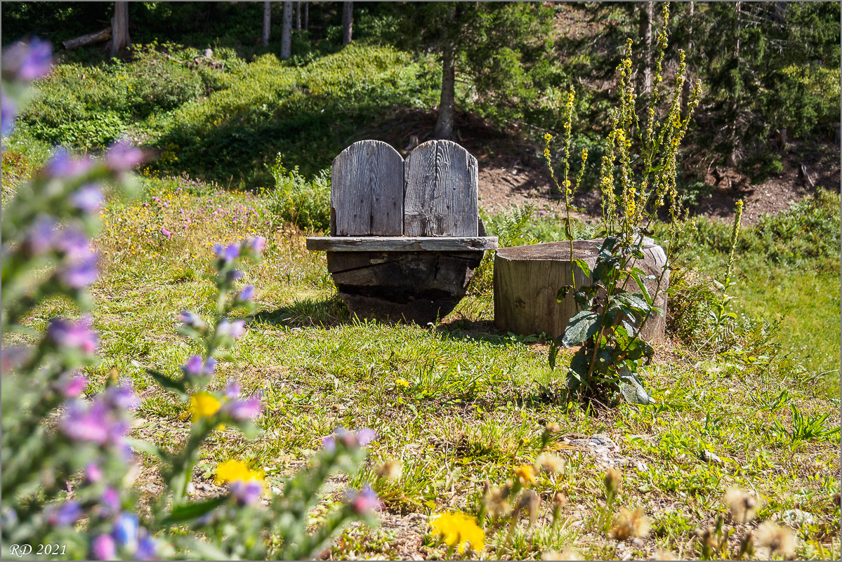 P9040415.jpg