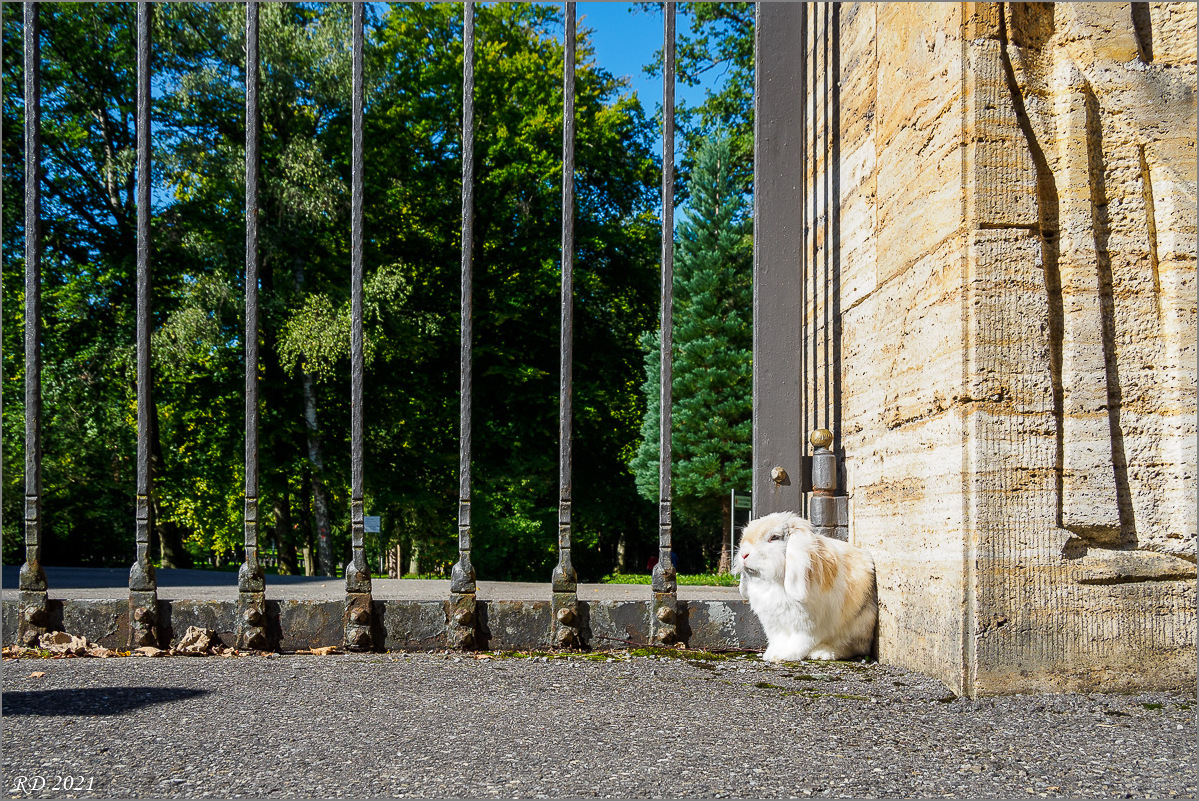 P9040542.jpg