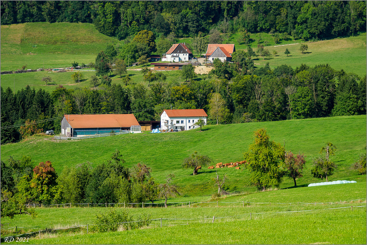 P9120039-Bearbeitet.jpg