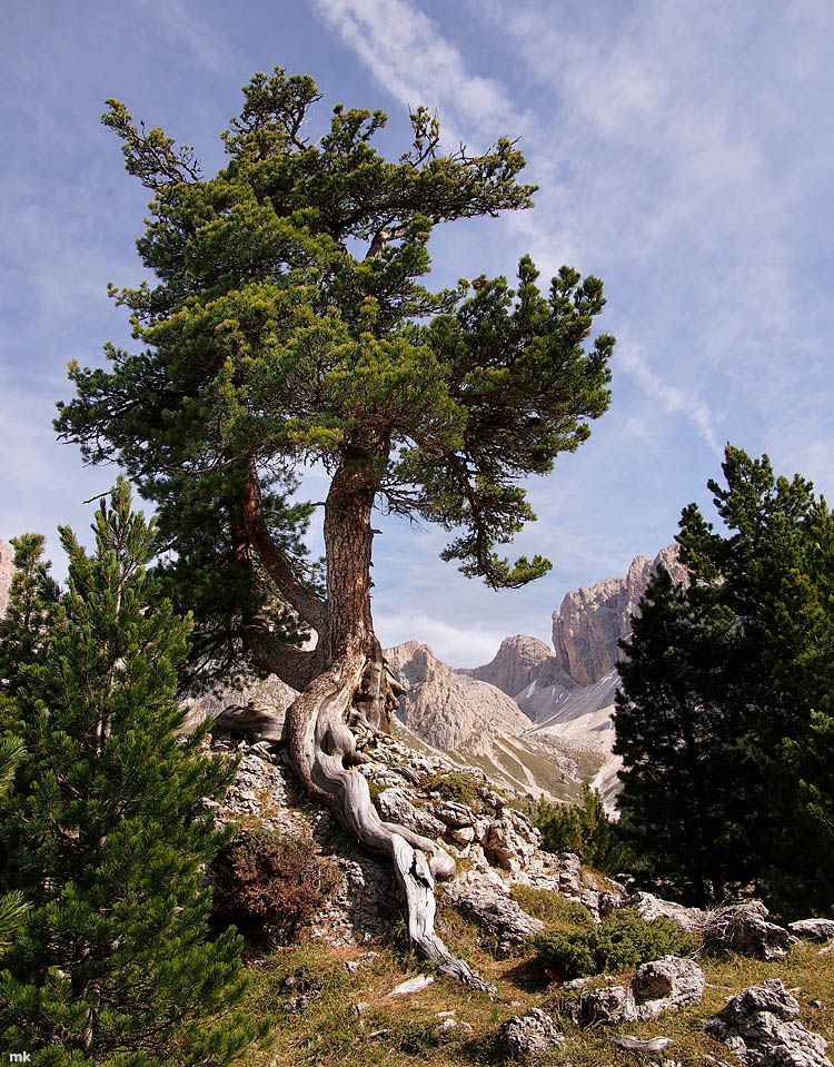 P9251902