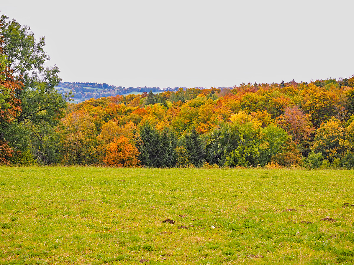 P9280116-Edit.jpg