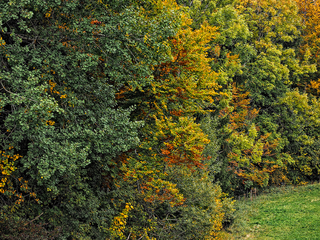 P9280123-2.jpg