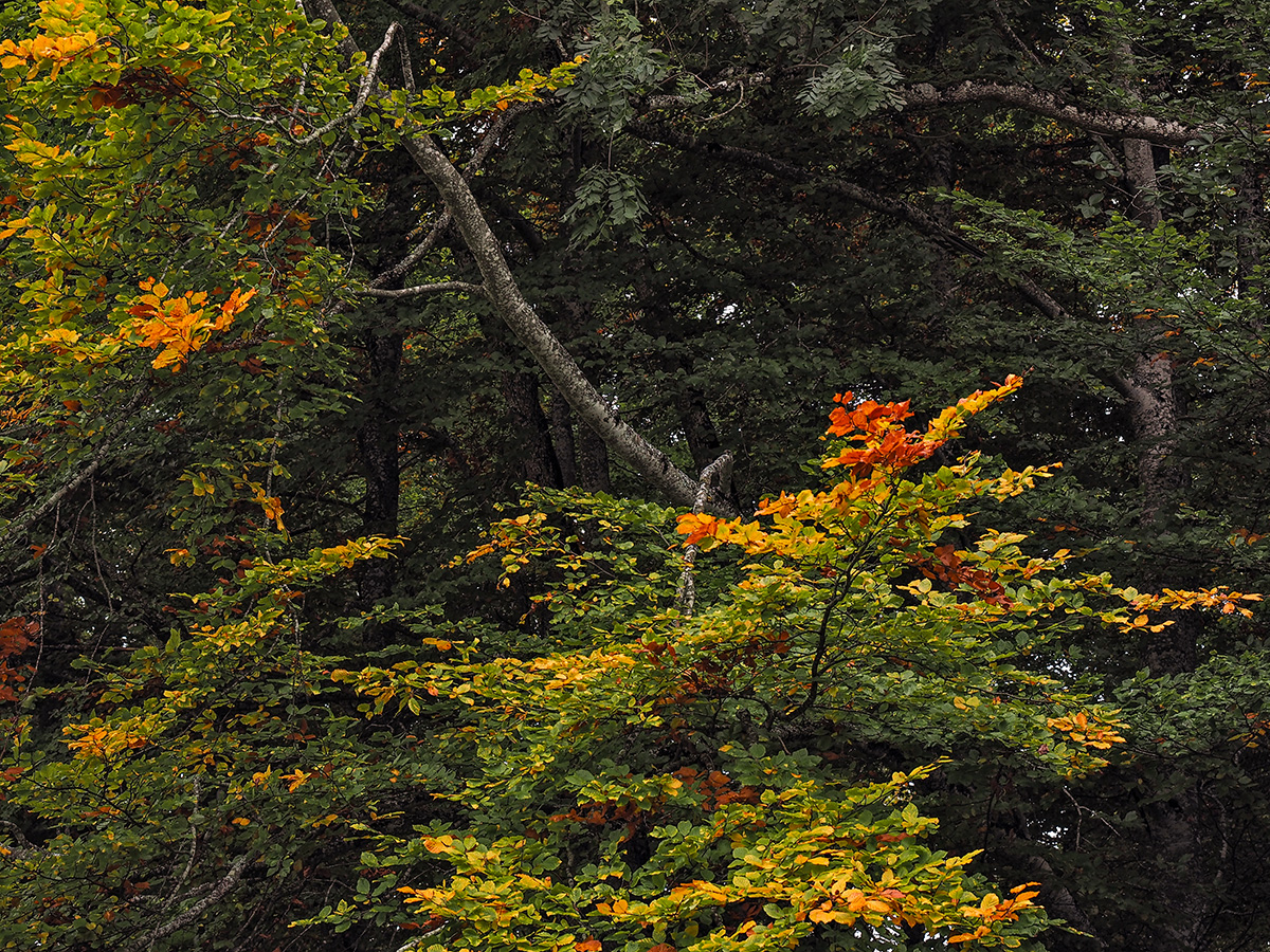 P9280140.jpg