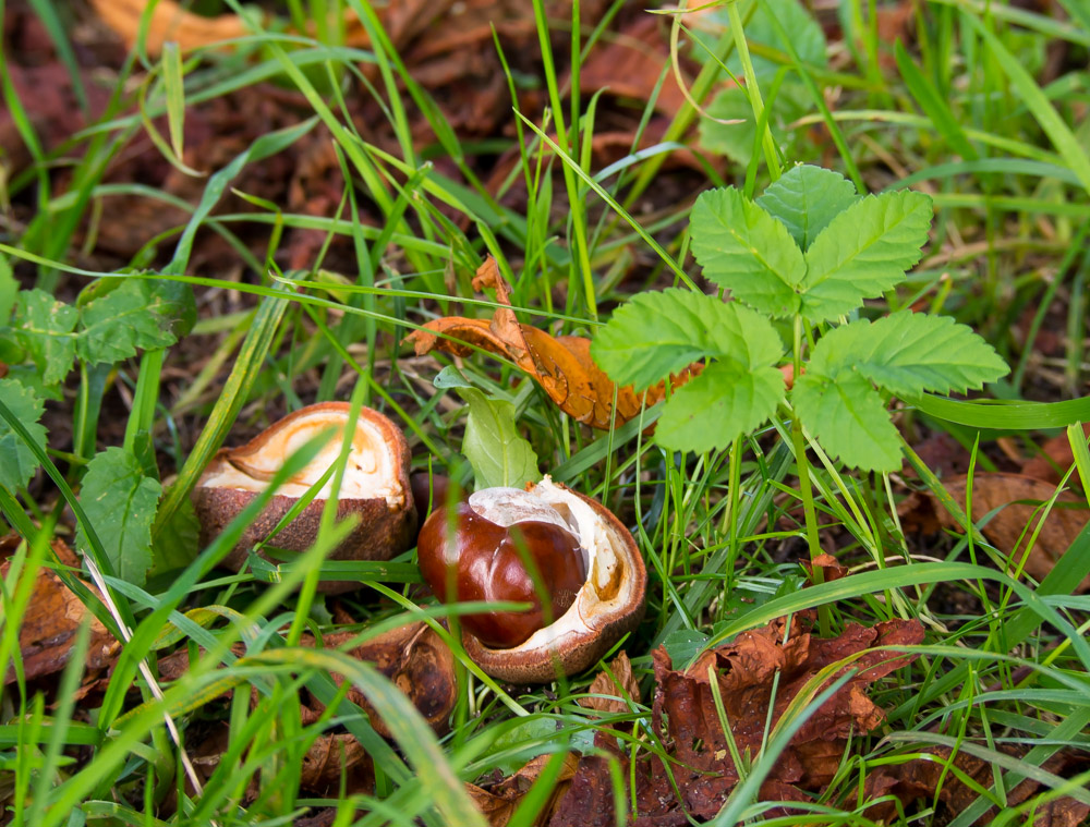 PA050050 2