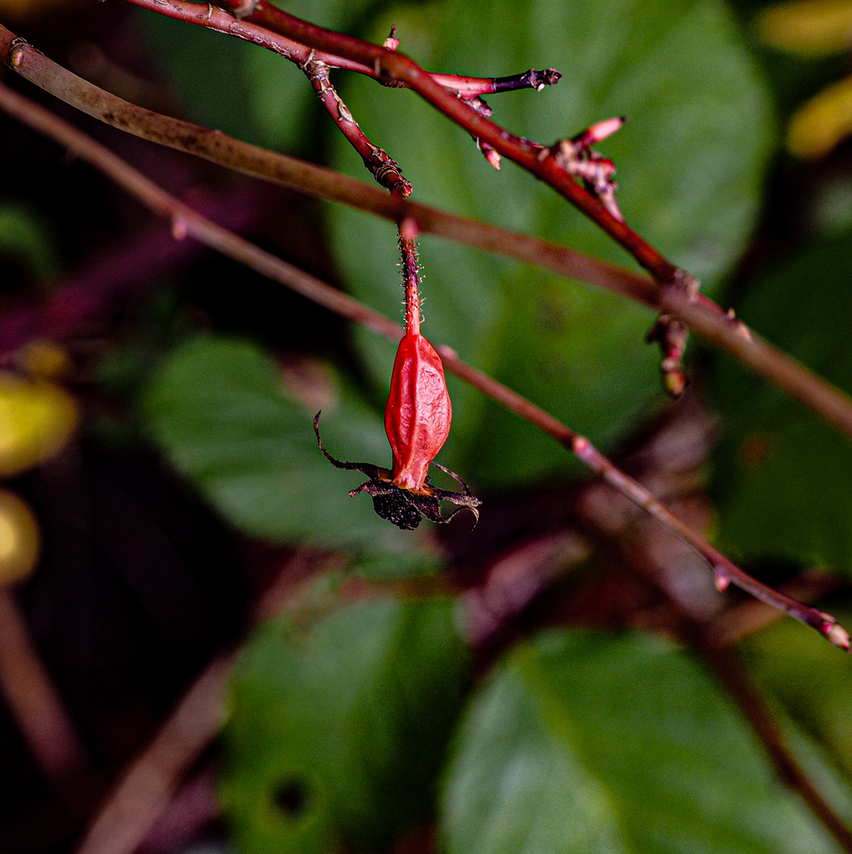 PA050060-Edit.jpg