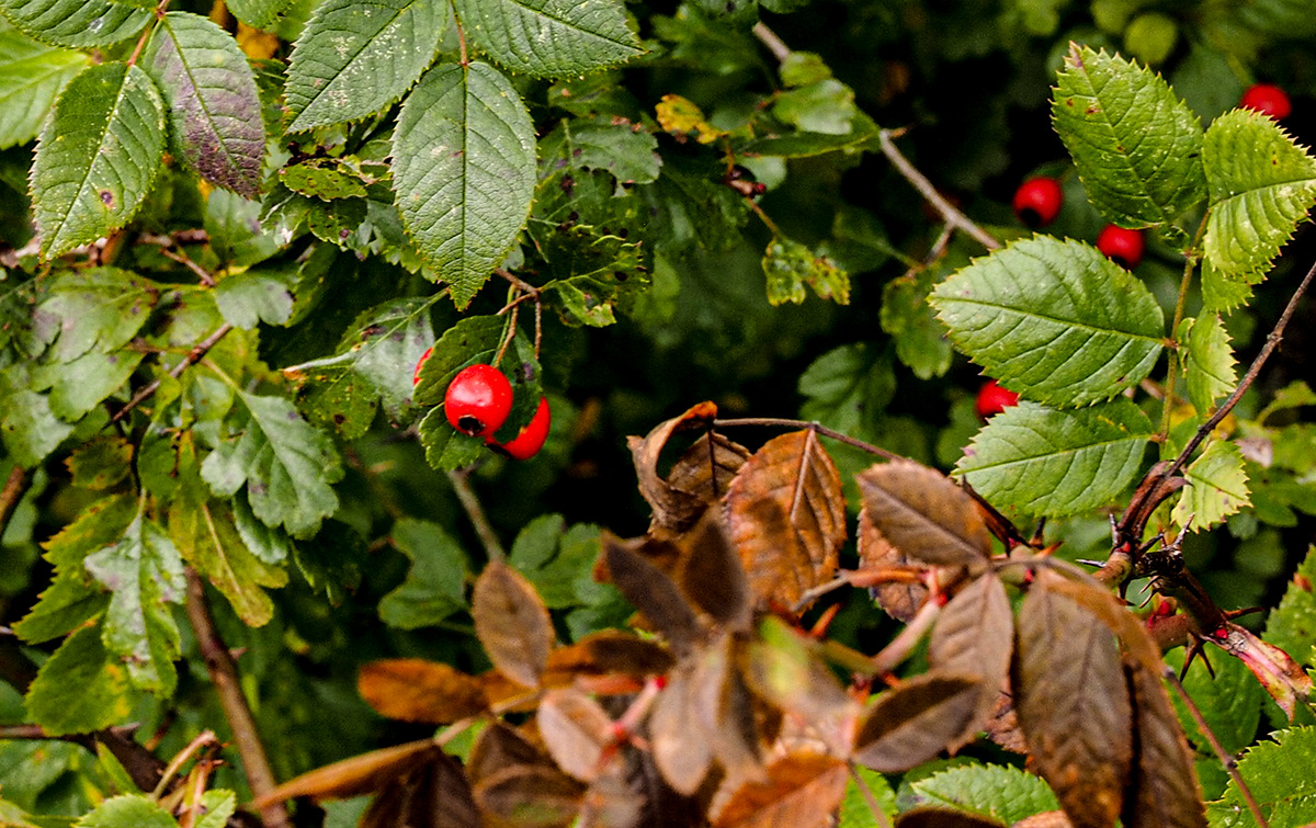 PA050119-Edit.jpg