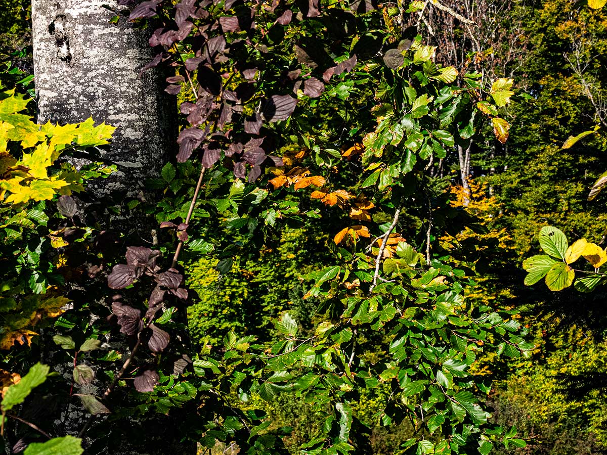 PA100125.jpg