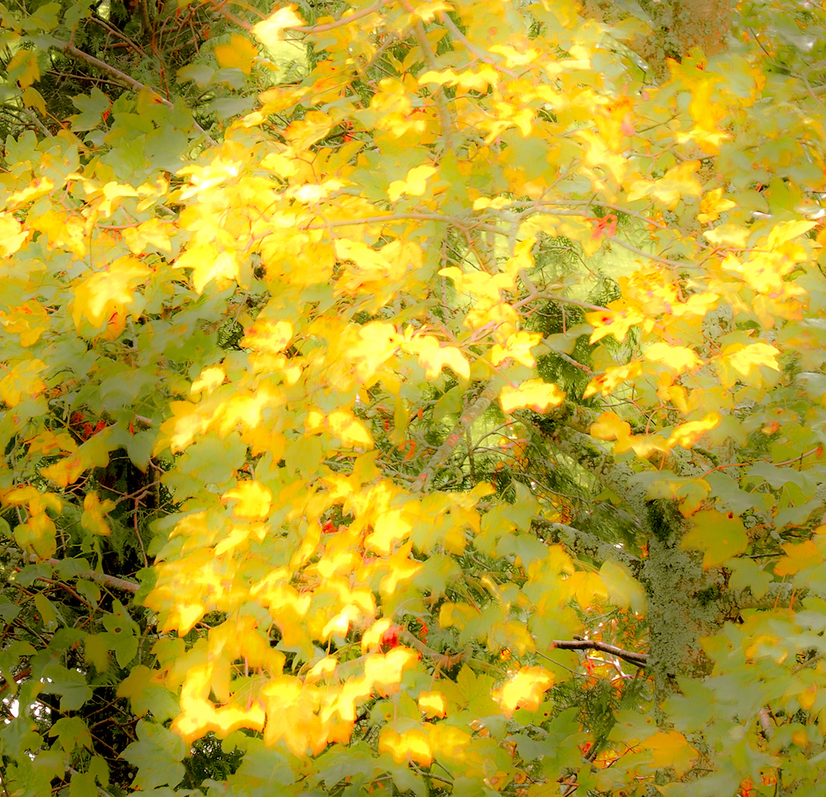 PA130039-Edit.jpg