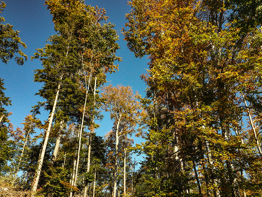 PA140093.jpg