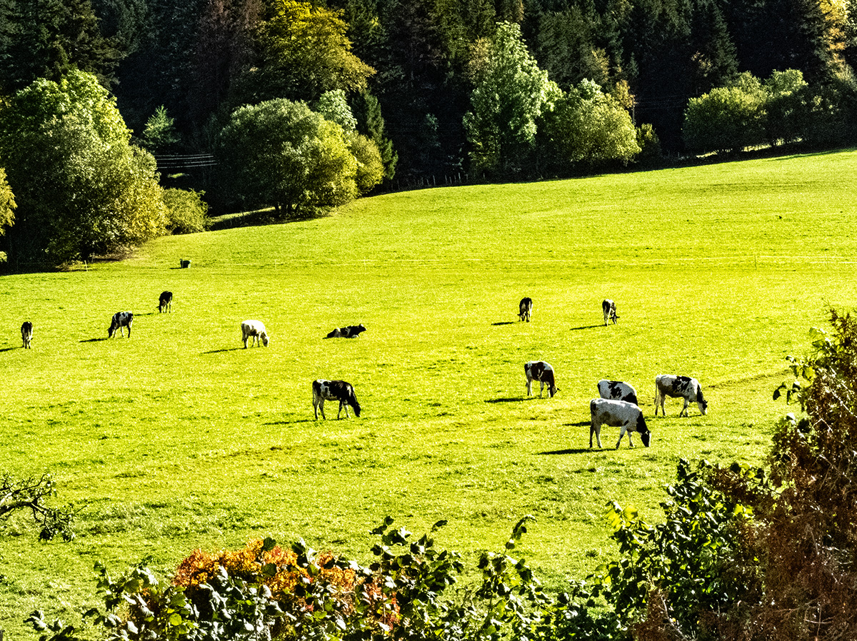 PA160020.jpg