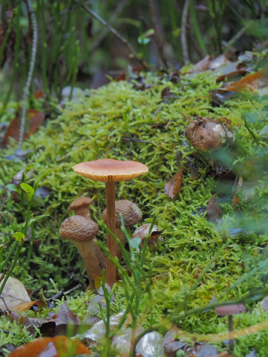 PA163482.JPGn.JPG